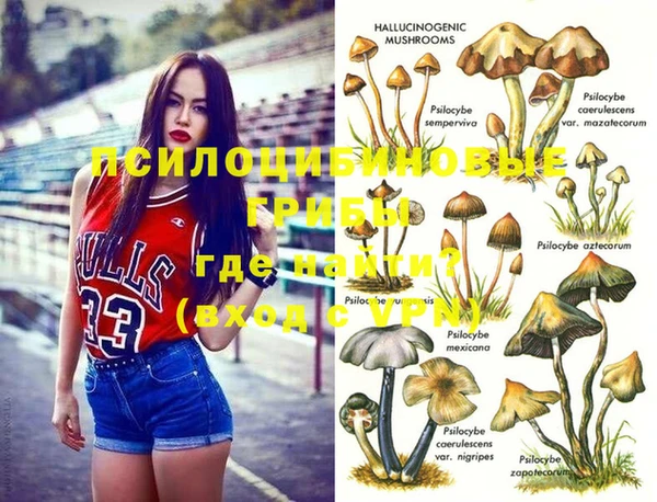 винт Беломорск