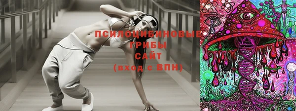 крисы Богородицк