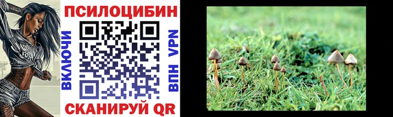 Галлюциногенные грибы ЛСД  Купить закладки  Демидов 